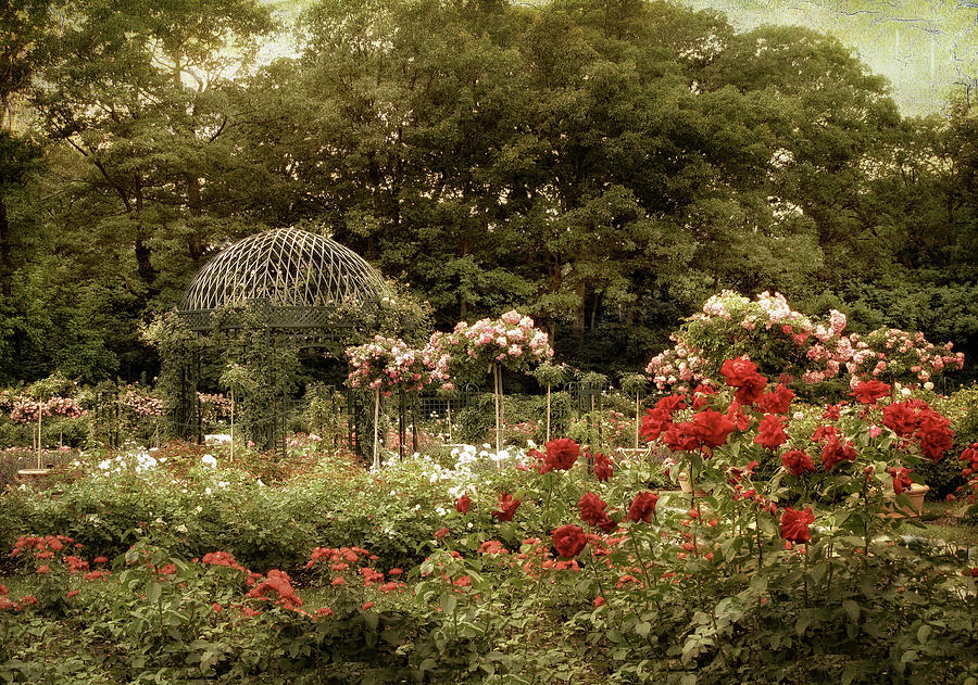 Gazebo Garden Splendor Photograph by Jessica Jenney