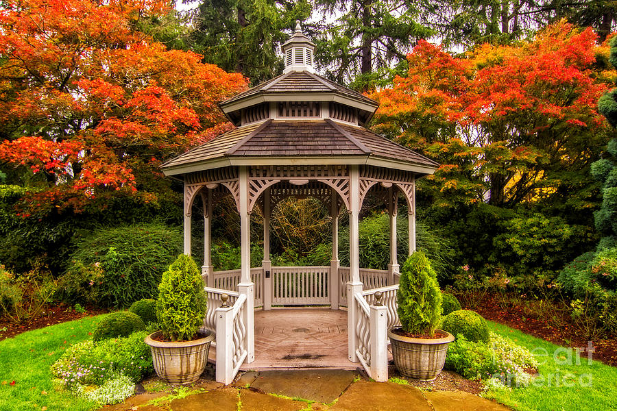 Gazebo in the Fall 2 Photograph by Sonya Lang