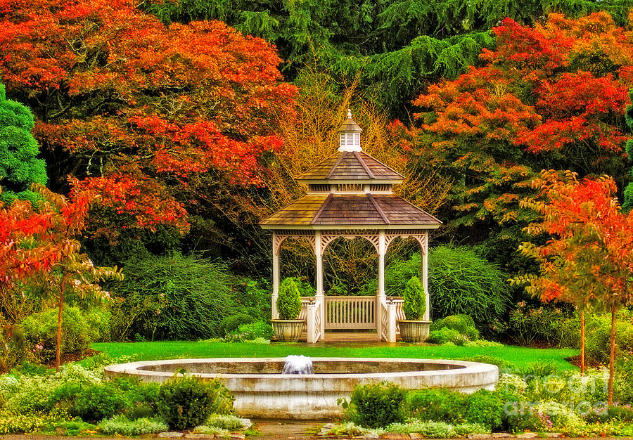 Gazebo in the Fall Photograph by Sonya Lang