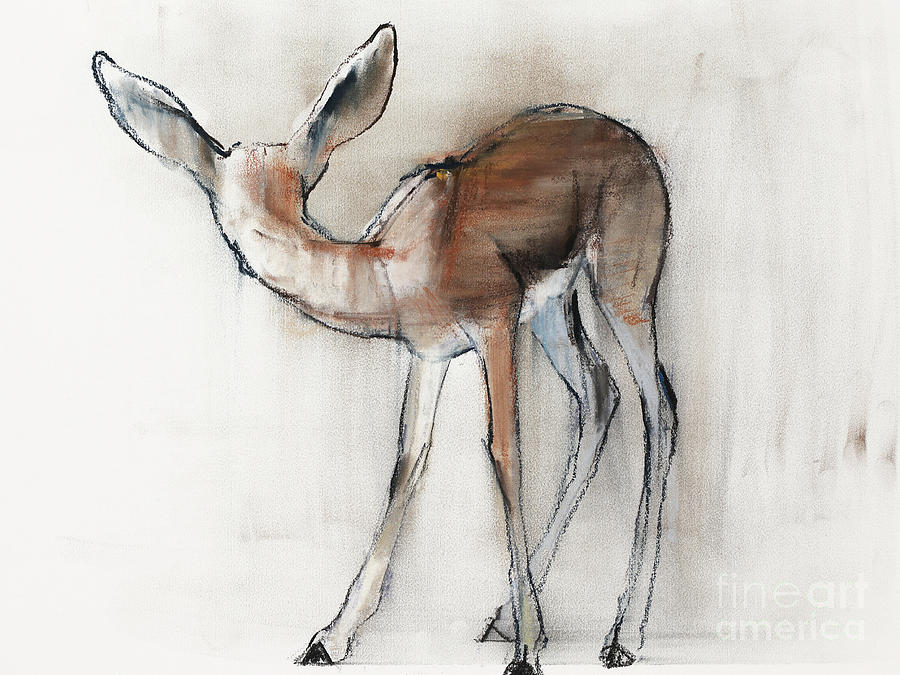 Wildlife Painting - Gazelle Fawn  Arabian Gazelle by Mark Adlington