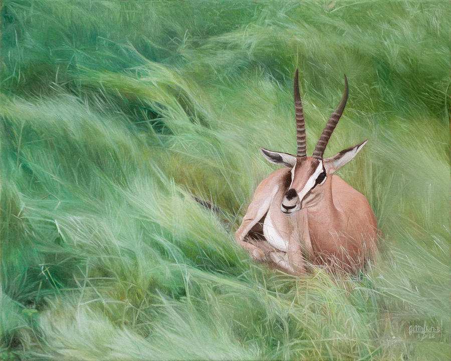 Gazelle in the Grass Painting by Joshua Martin