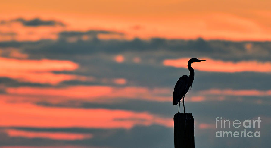 GBH Sunset Photograph by DJA Images
