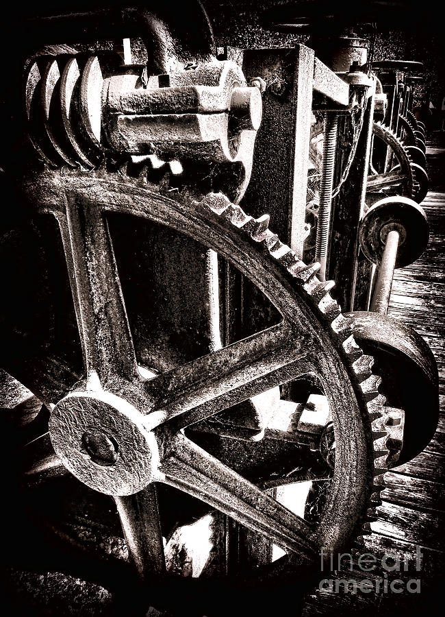 Vintage Photograph - Gearology  by Olivier Le Queinec