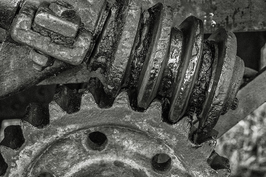 Gears Photograph by Jay Stockhaus