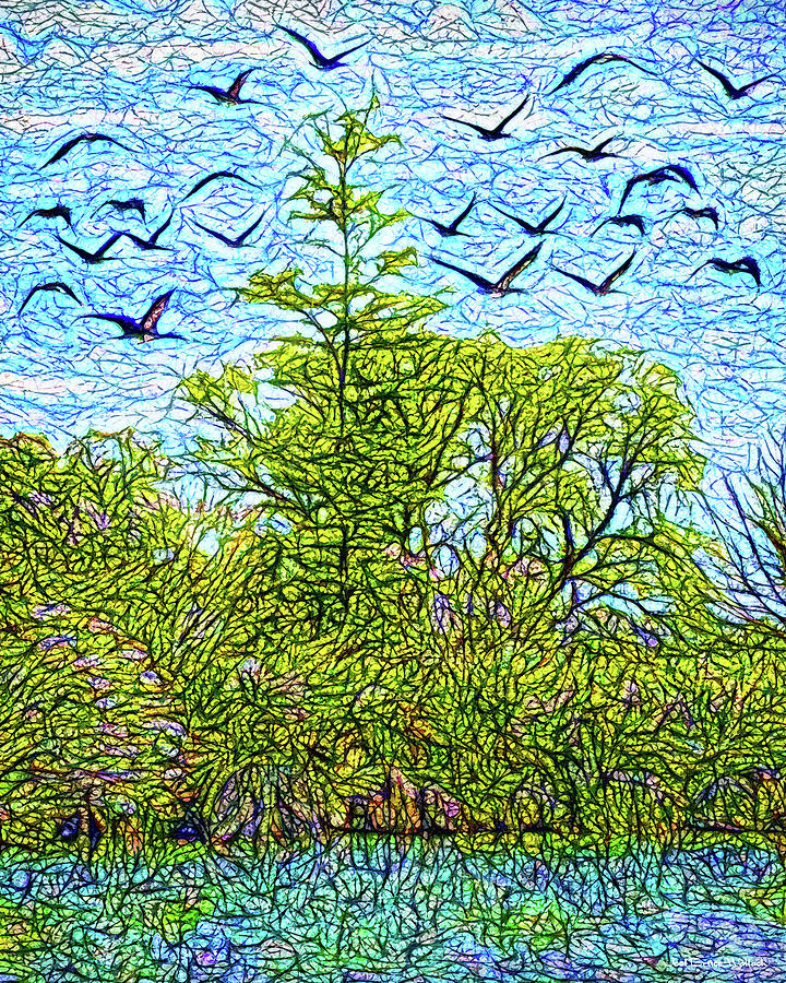 Geese Glide Over Still Pond Digital Art by Joel Bruce Wallach