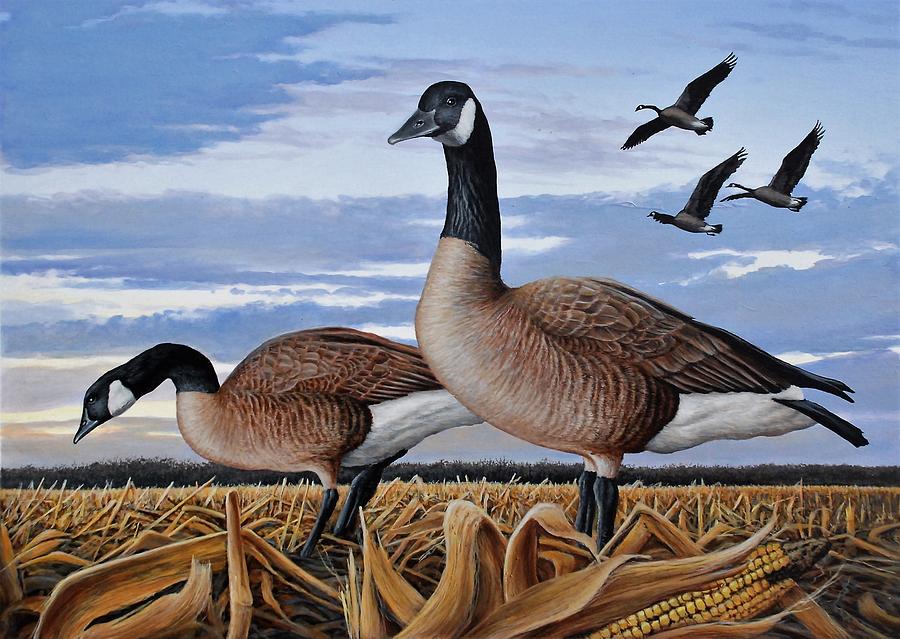Geese in Corn Field Painting by Anthony J Padgett