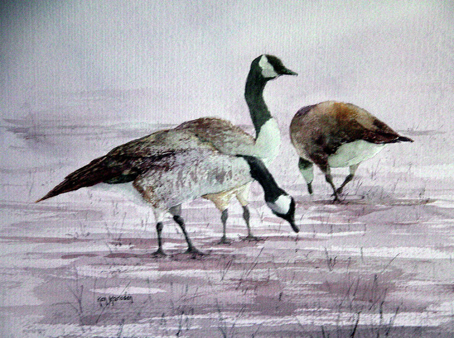 Geese Painting - Geese by Ken Marsden