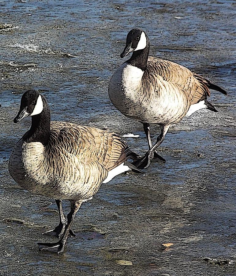 Geese On A Frozen Pond Photograph By Lee Hudson