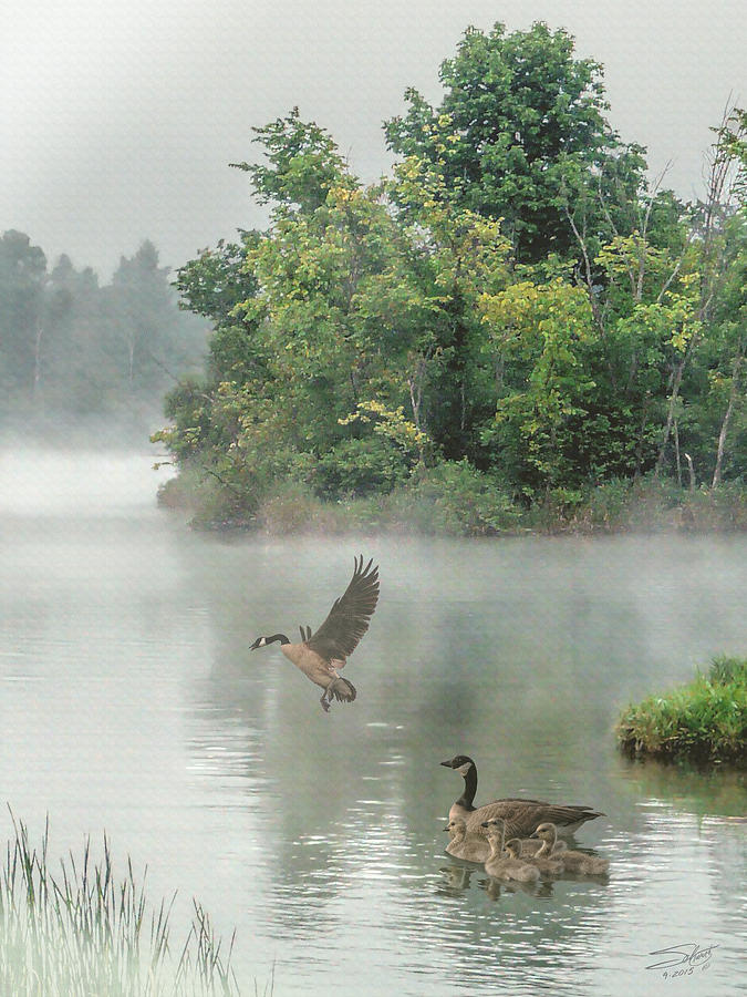 Geese on Misty Lake Digital Art by M Spadecaller