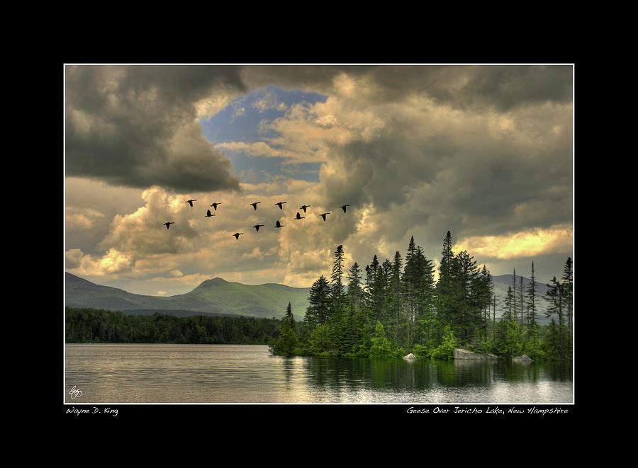 Geese Over Jerico Lake Poster Photograph by Wayne King