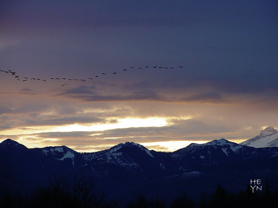 Geese Over the Cascades Photograph by Shirley Heyn