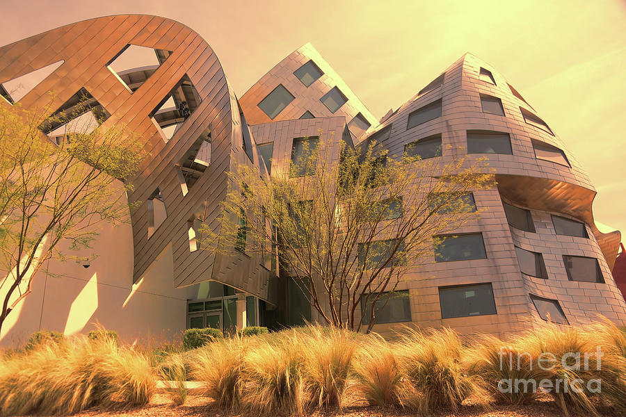 Gehry Brain Clinic LV  Photograph by Chuck Kuhn