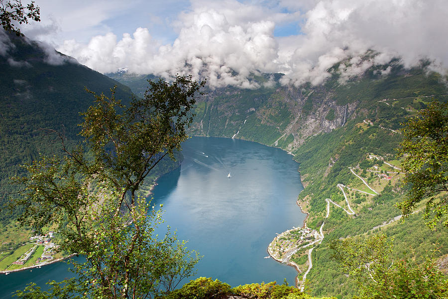 Geirangerfjord with Birch Photograph by Aivar Mikko