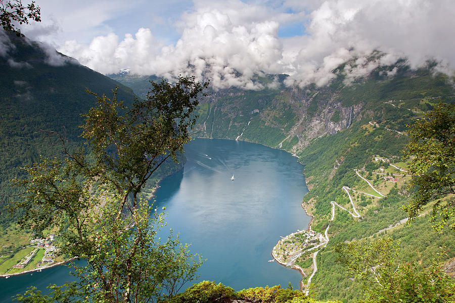 Geirangerfjord with Birch by Aivar Mikko Geirangerfjord with Birch by Aivar Mikko
