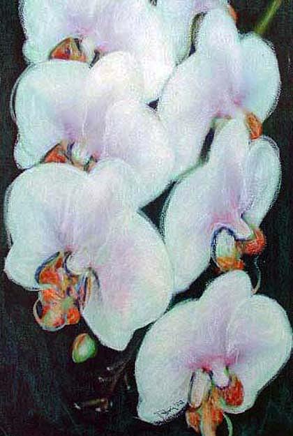 Geisha Orchids Mixed Media by Banning Lary
