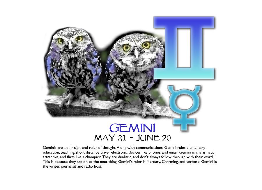 Gemini Sun Sign Digital Art by Shelley Overton