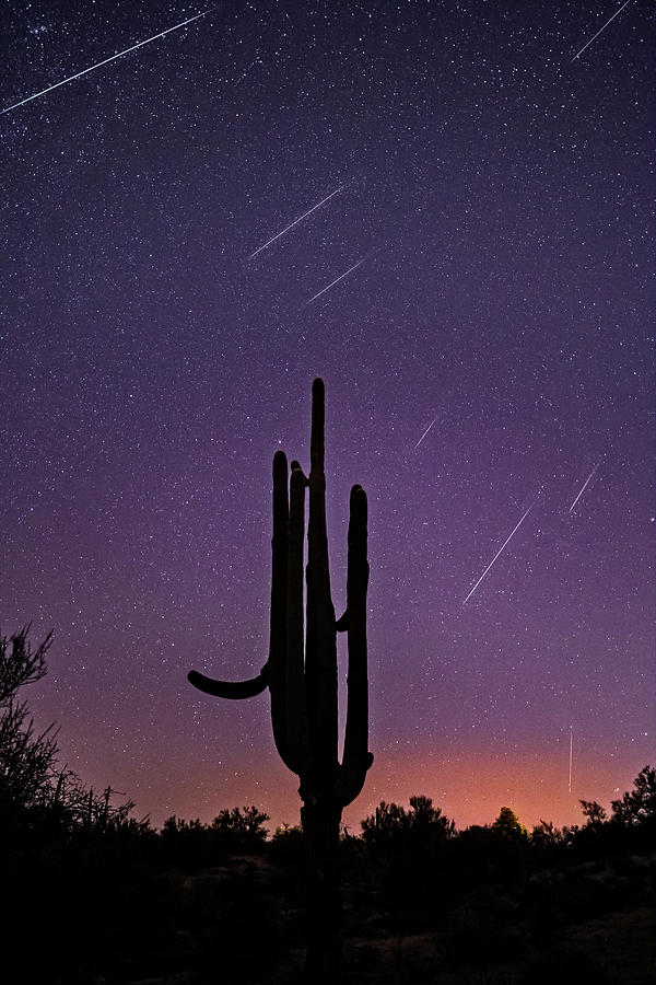 Geminid Meteor Shower #1, 2017 Photograph by James Capo