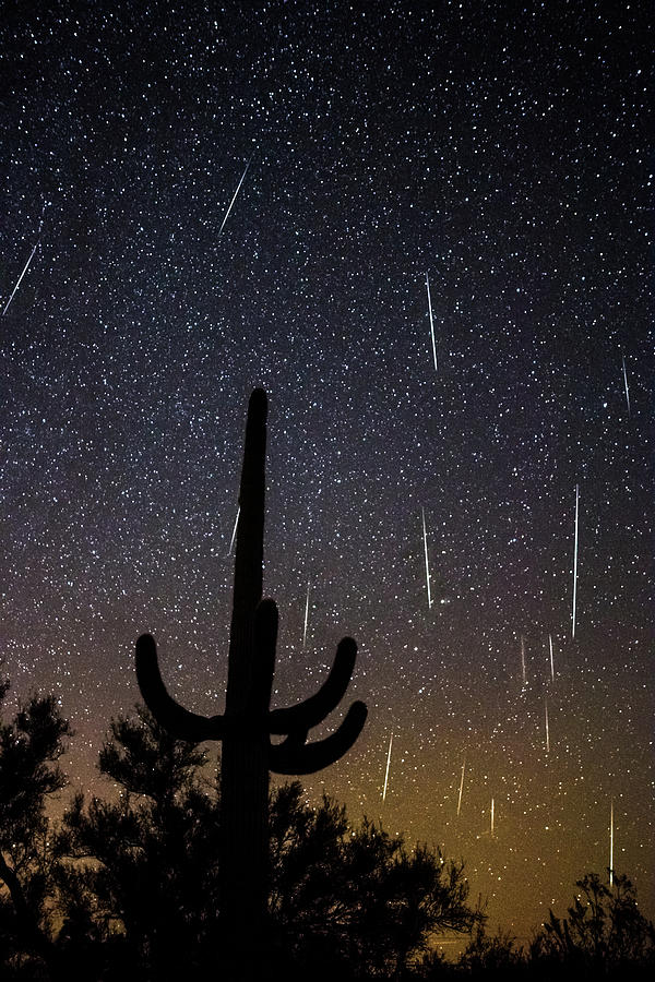 Geminid Meteor Shower #2, 2017 Photograph by James Capo