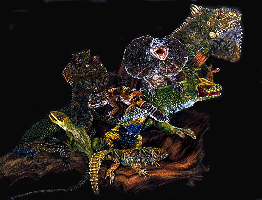 Reptile Drawing - Gems and Jewels by Barbara Keith
