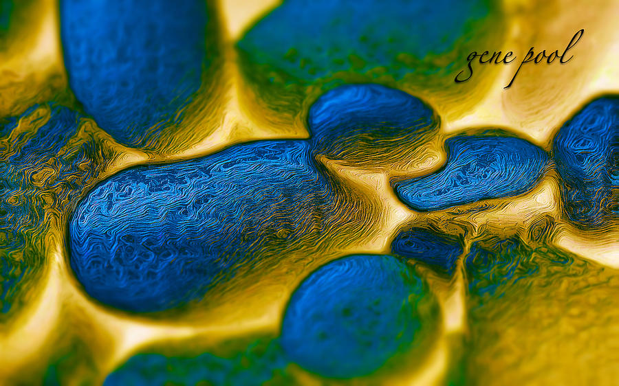 Gene Pool Blue by ISAW Company Gene Pool Blue by ISAW Company