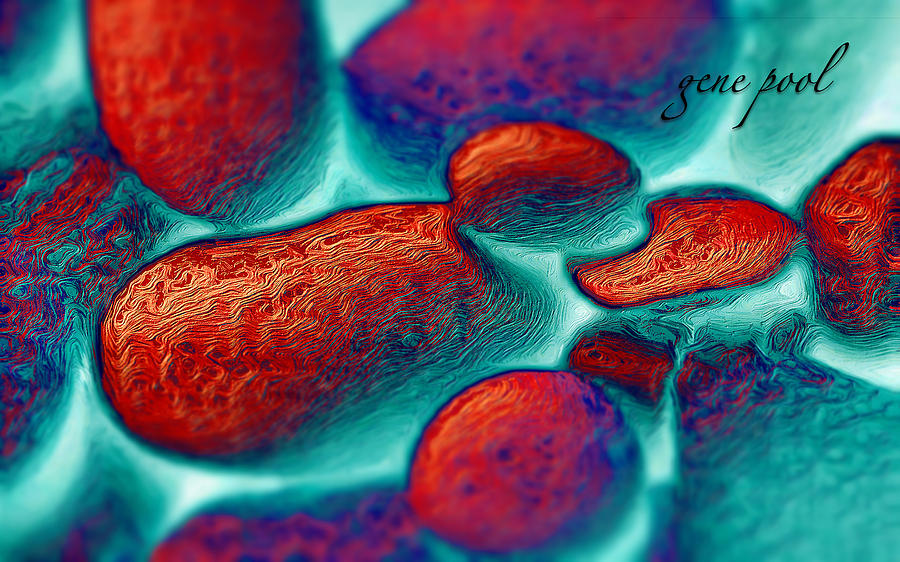 Gene Pool Red by ISAW Company Gene Pool Red by ISAW Company