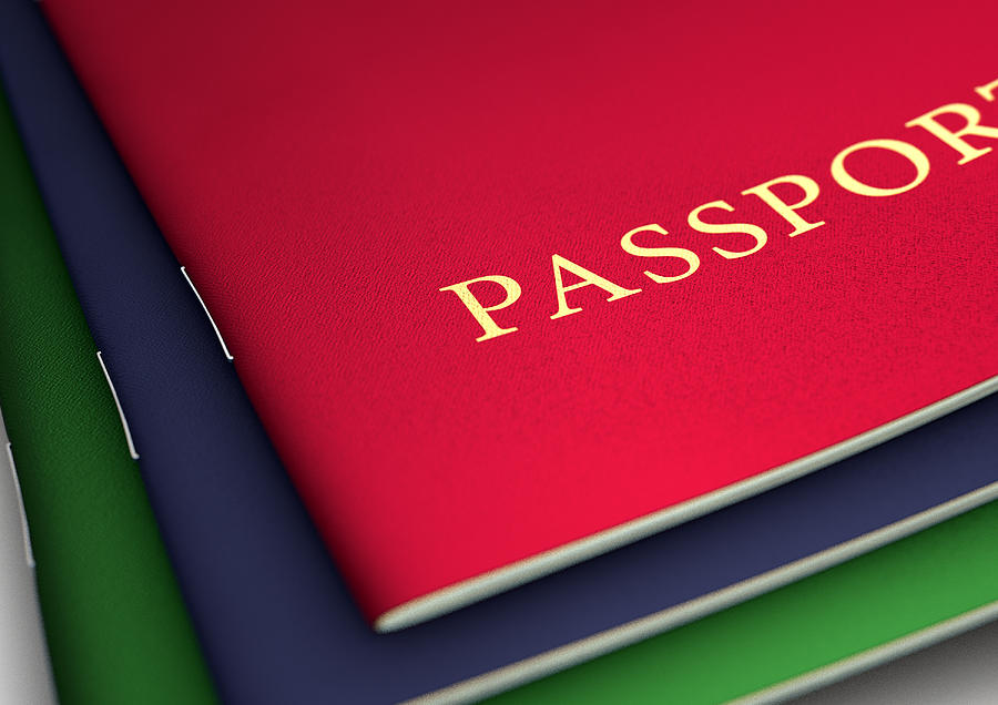 Image result for generic passport