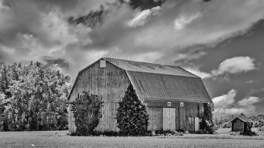 Barn Photograph - Genesee County Barn 8395 by Guy Whiteley