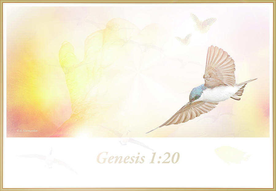 Genesis Chapter 1 Verse 20 Digital Art by A Macarthur Gurmankin
