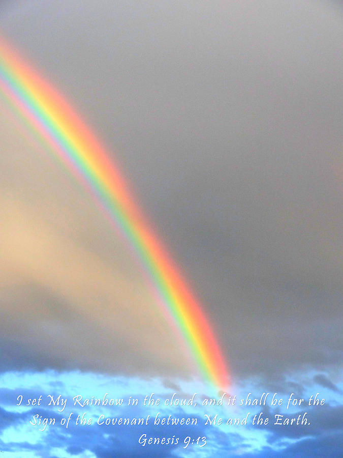 Genesis Rainbow Photograph by Lanita Williams
