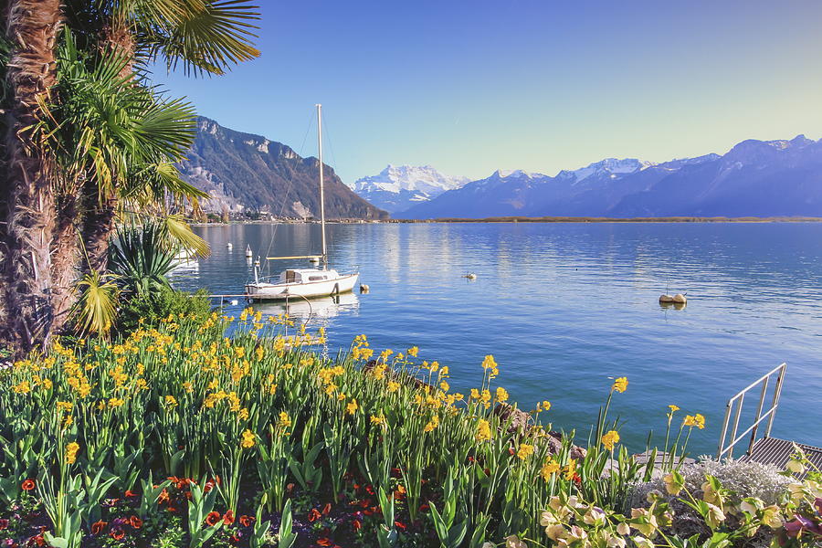 Geneva lake at Montreux, Vaud, Switzerland Photograph by Elenarts - Elena Duvernay photo