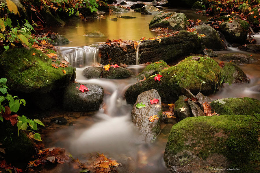 Fall Photograph - Gentle Cascades of Autumn  by Photos by Thom