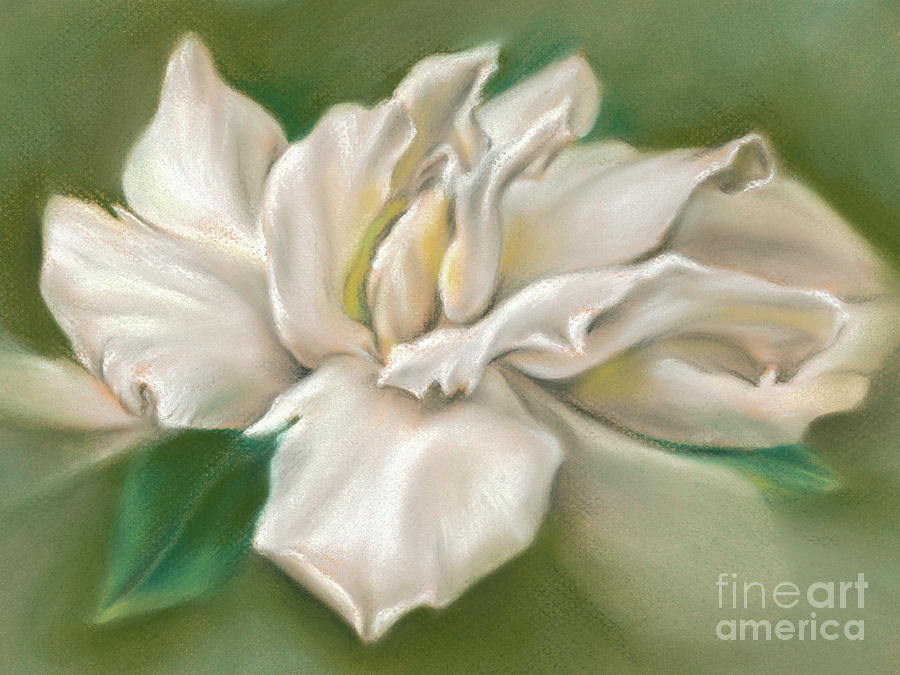 Gentle Gardenia Painting by MM Anderson