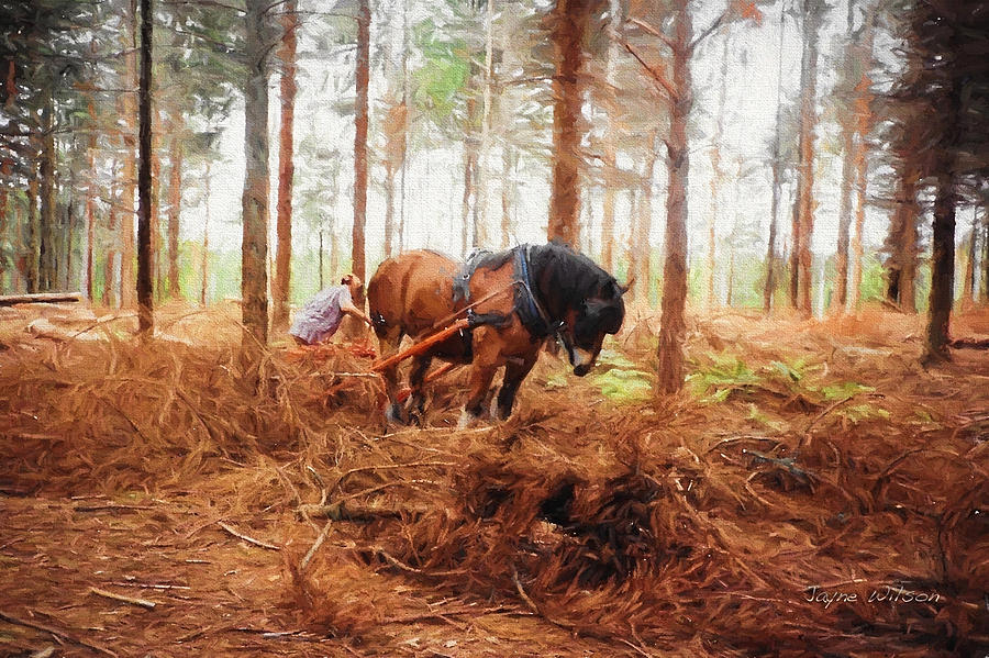 Gentle Giant - Horse at Work in Forest Photograph by Jayne Wilson
