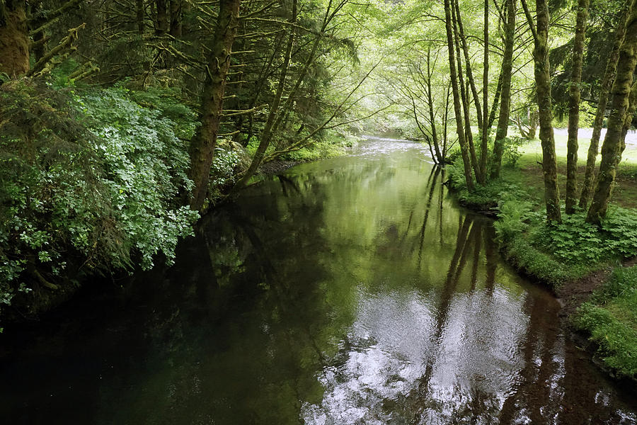 Gentle Living River Photograph by Ben Upham III