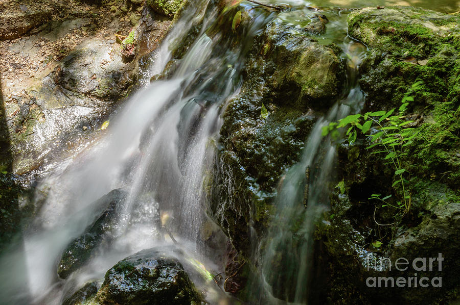 Nature Photograph - Gentle spring fed waterfall by Thomas Gibson