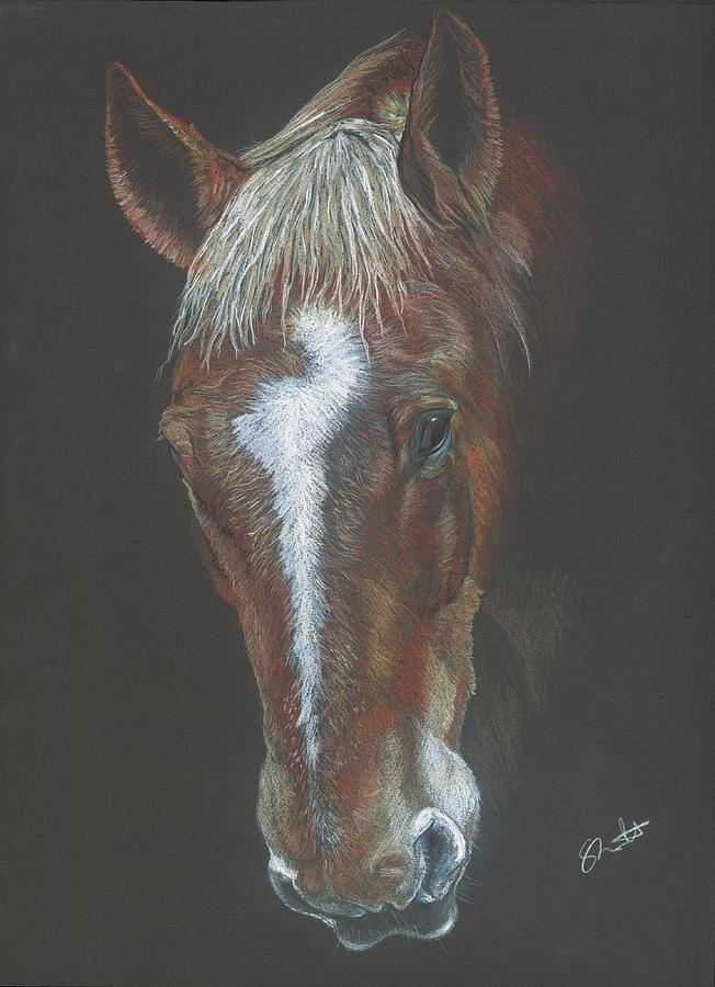 Gentle Suffolk Punch Drawing by Sally Trewhitt - Fine Art America