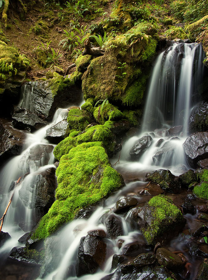 Spring Photograph - Gentle Summit Creek by Jon Ares