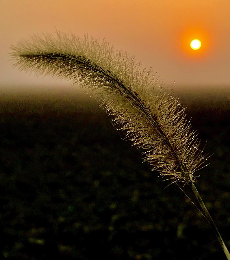 Sunrise Photograph - Gentle Sunrise by Rob Michalowski