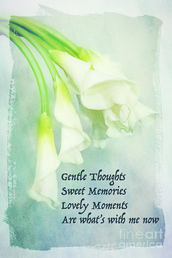 Calla Photograph - Gentle Thoughts by Marilyn Cornwell