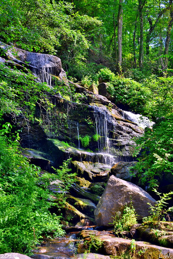 Gentle Waterfall Photograph by Lisa Wooten