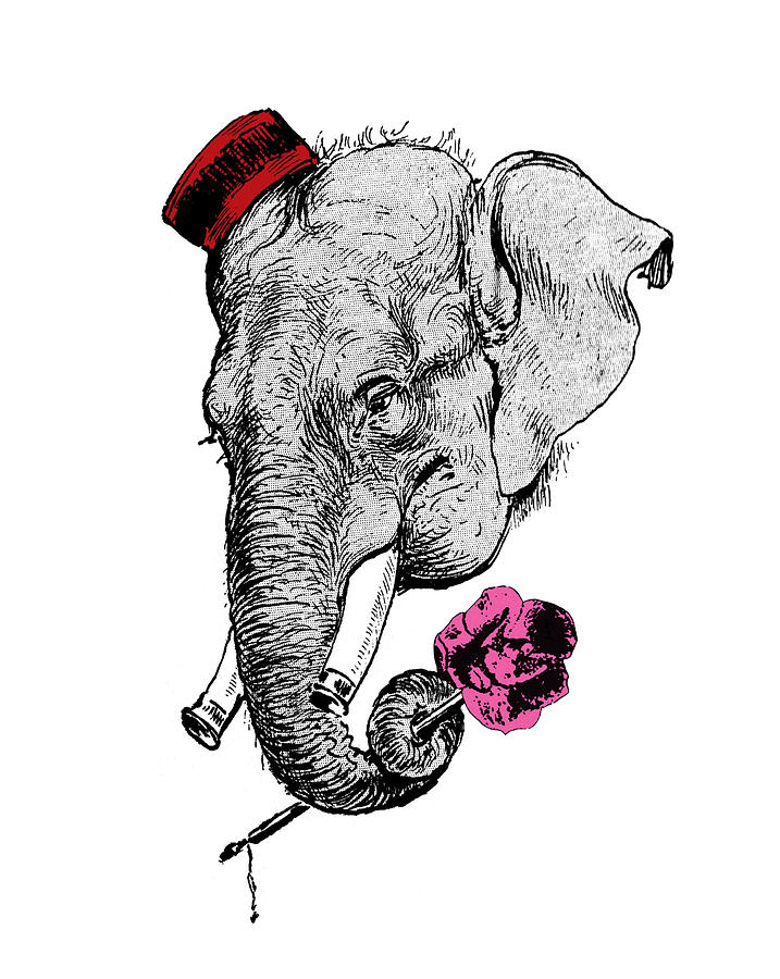 Elephant Digital Art - Gentleman Elephant With Pink Rose by Madame Memento Elephant Digital Art - Gentleman Elephant With Pink Rose by Madame Memento