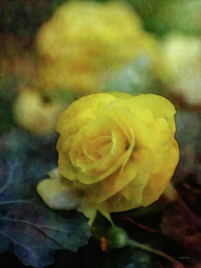 Impressionism Photograph - Gently 0092 IDP_2 by Steven Ward