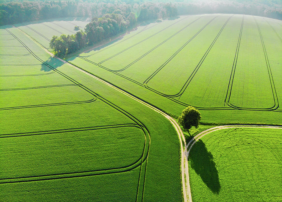 Geometric Landscape 04 Green fields aerial view Photograph by Matthias Hauser
