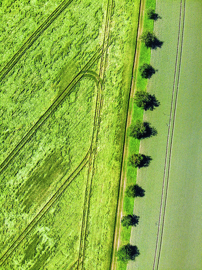 Geometric landscape 09 trees and fields aerial Photograph by Matthias Hauser