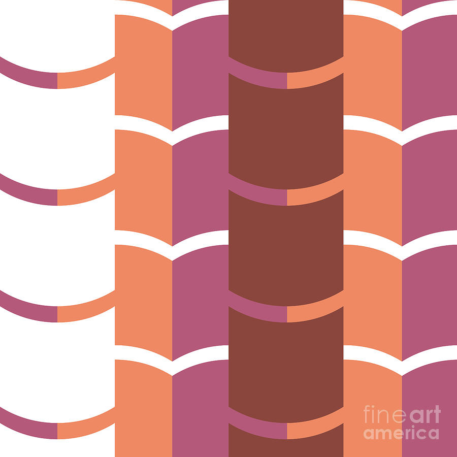 Salmon Digital Art - Geometric Pattern by HD Connelly