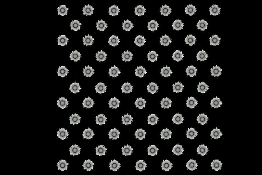 Geometric Sunflowers I Black White Digital Art by Joan Han