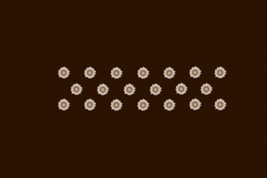 Geometric Sunflowers I Center Light Brown Chocolate Digital Art by Joan Han