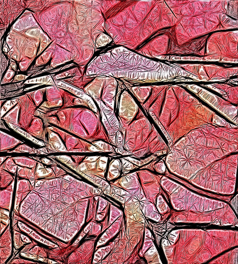 Geometry of Leaves in Pink by AJP Geometry of Leaves in Pink by AJP