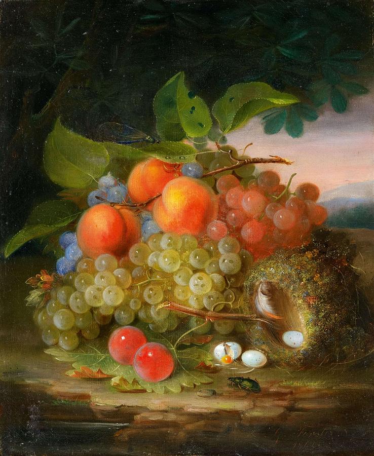 George Forster  Still Life With Fruit And A Birds Nest Painting