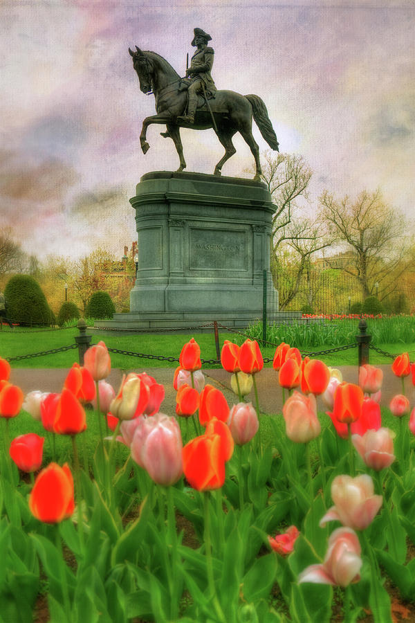 George Washington In The Boston Public Garden Photograph